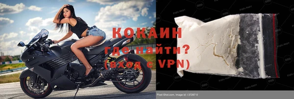 хмурый Абаза