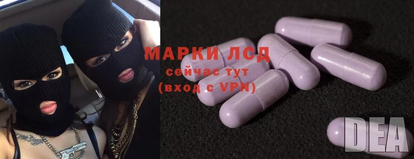 хмурый Абаза