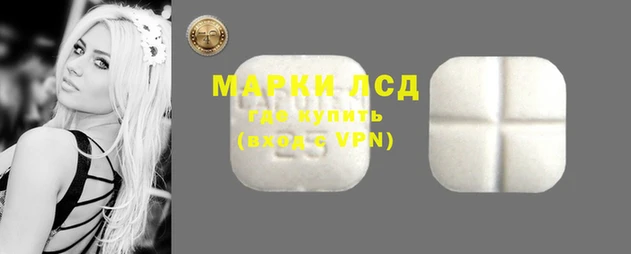 ПСИЛОЦИБИНОВЫЕ ГРИБЫ Абинск