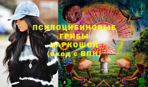 ПСИЛОЦИБИНОВЫЕ ГРИБЫ Абинск