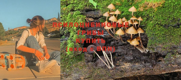 ПСИЛОЦИБИНОВЫЕ ГРИБЫ Абинск