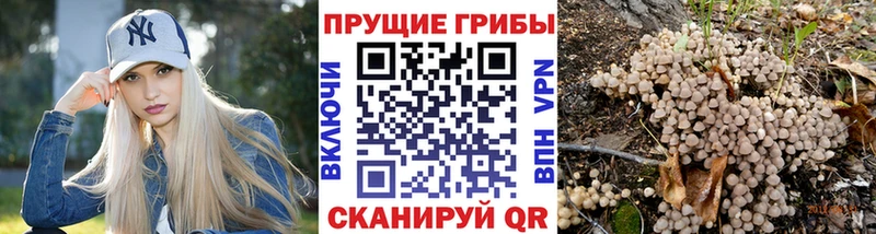 Галлюциногенные грибы GOLDEN TEACHER  Серафимович 